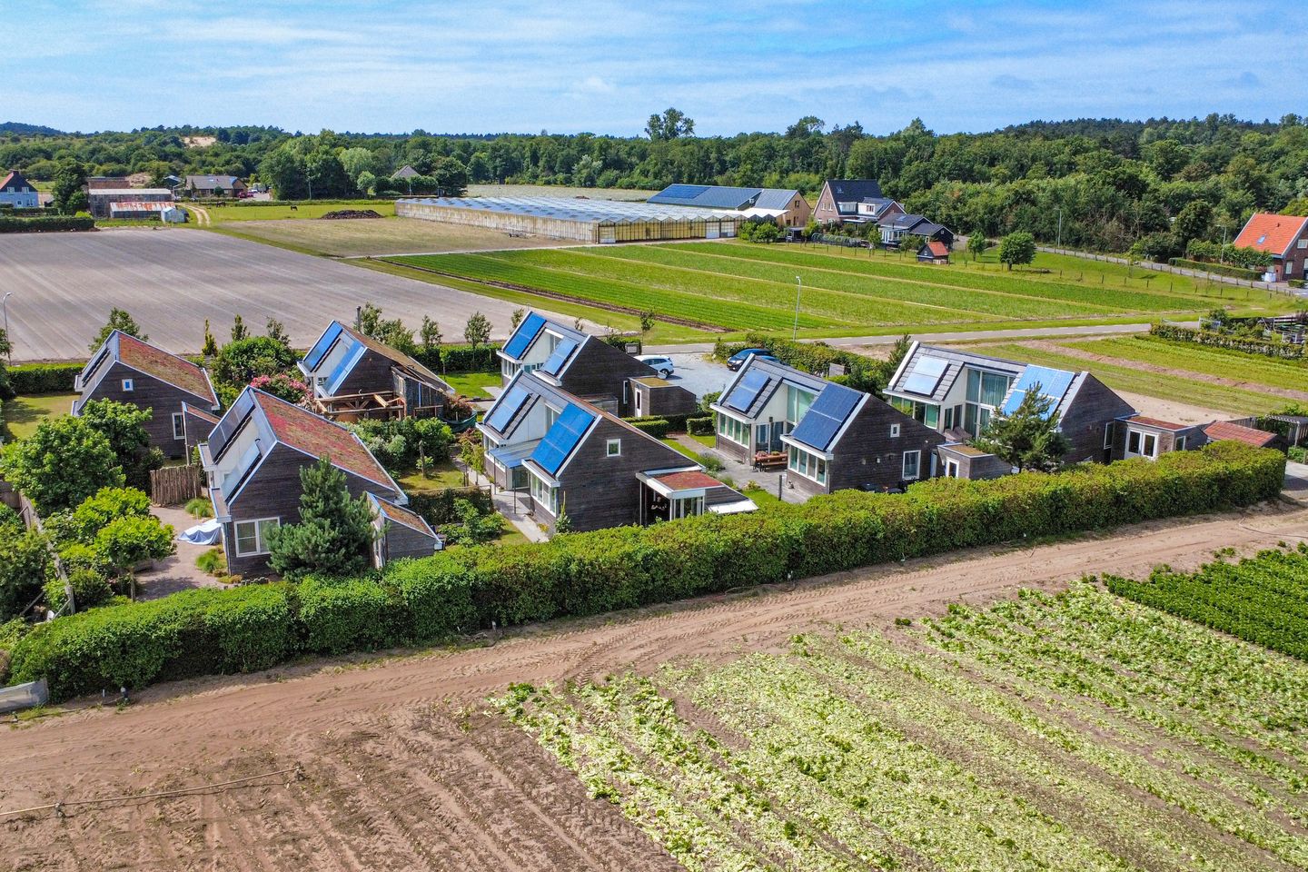 Photo 44 of Wijk aan Duinpad 16-F