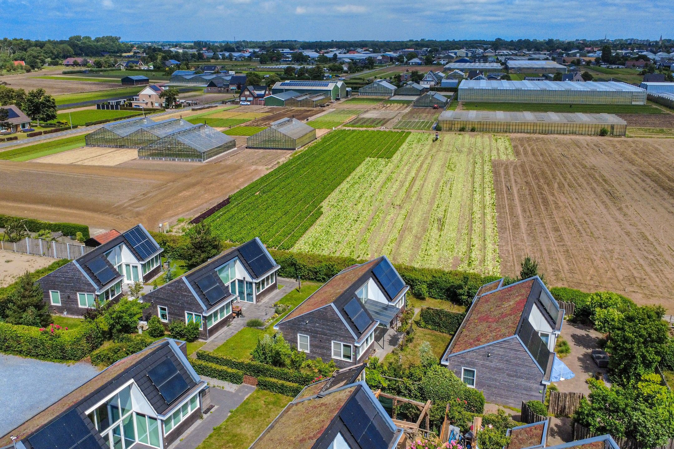 Photo 45 of Wijk aan Duinpad 16-F