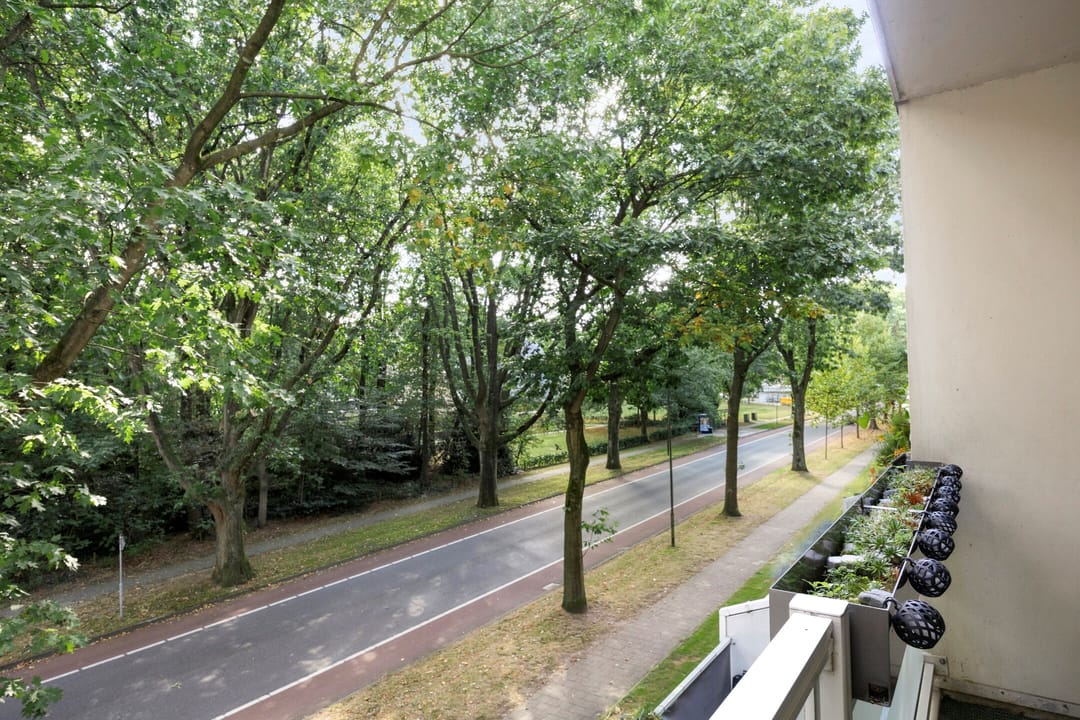 Photo 16 of Dillenburg 18