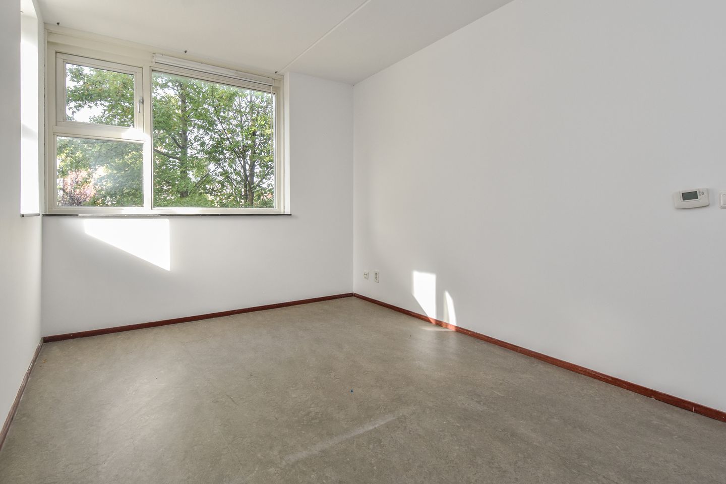 Photo 35 of Zomereik 34