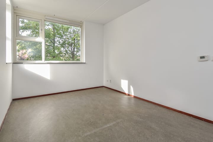 Photo 35 of Zomereik 34