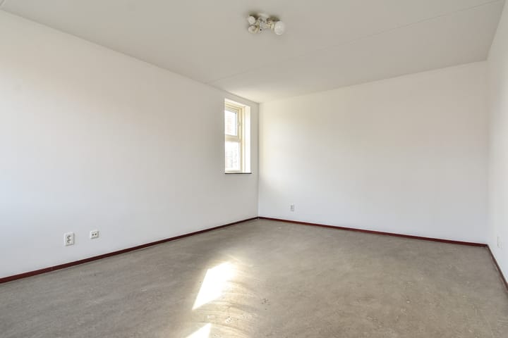 Photo 38 of Zomereik 34