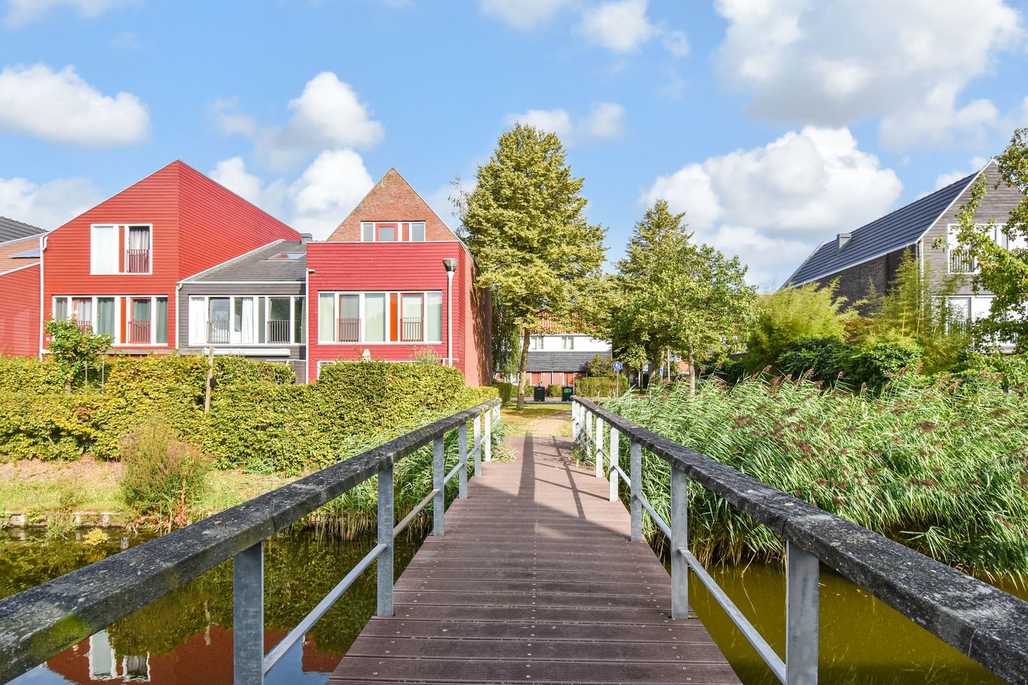 Photo 50 of Zomereik 34