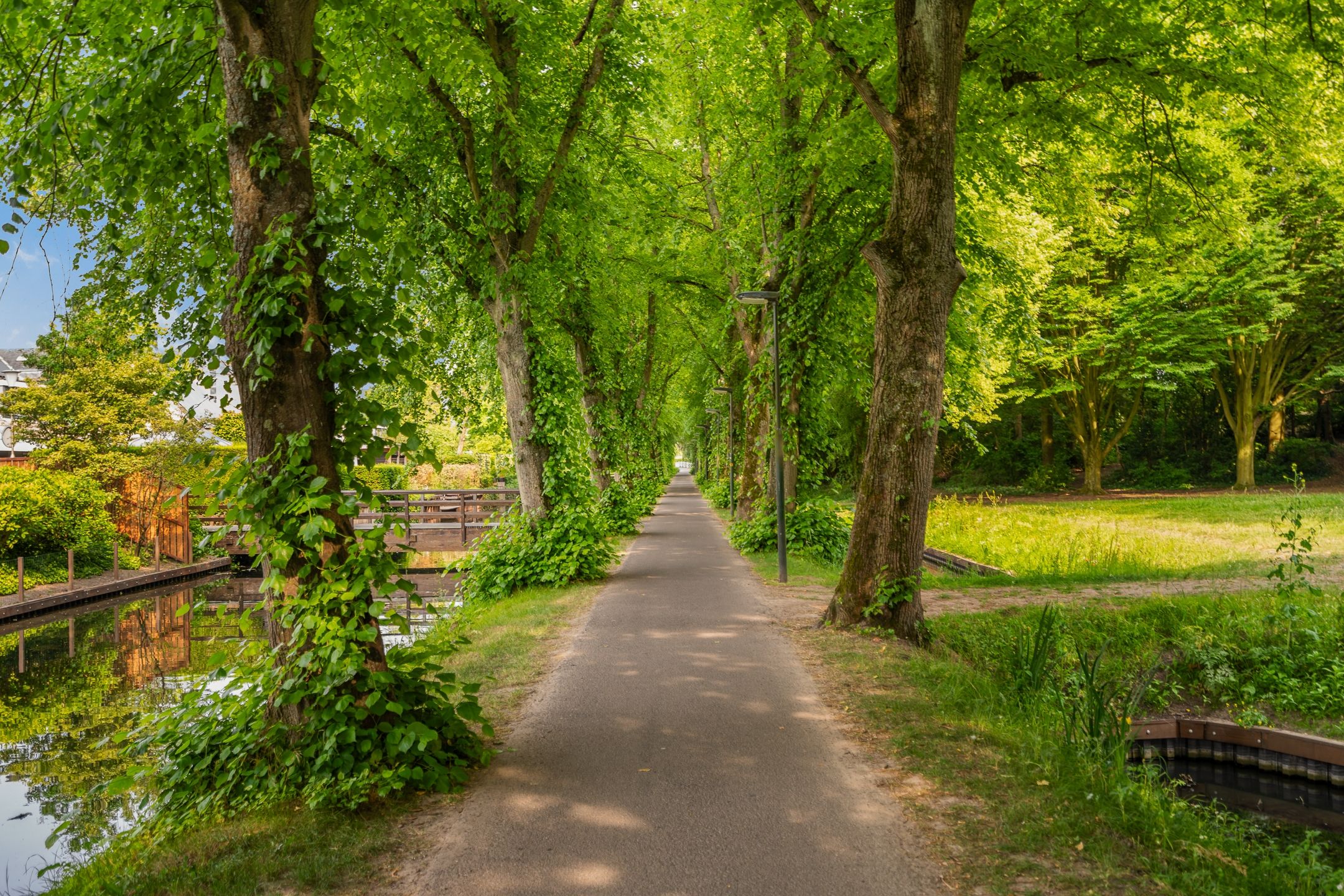 Foto 45 van Steenenstraat 23