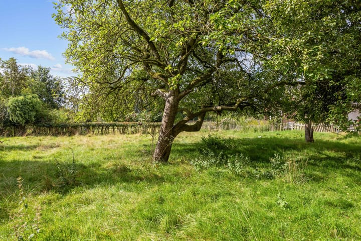 Photo 56 of Kaleweg 27