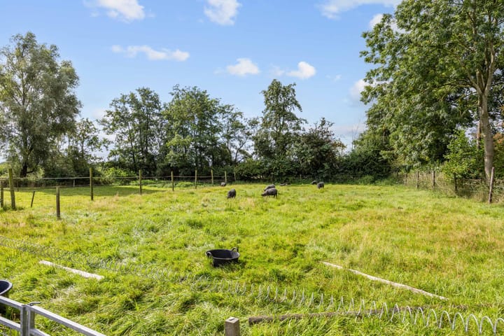 Photo 67 of Kaleweg 27