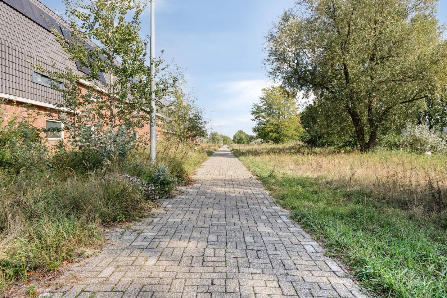 Foto 25 van Houtblazersstraat 2