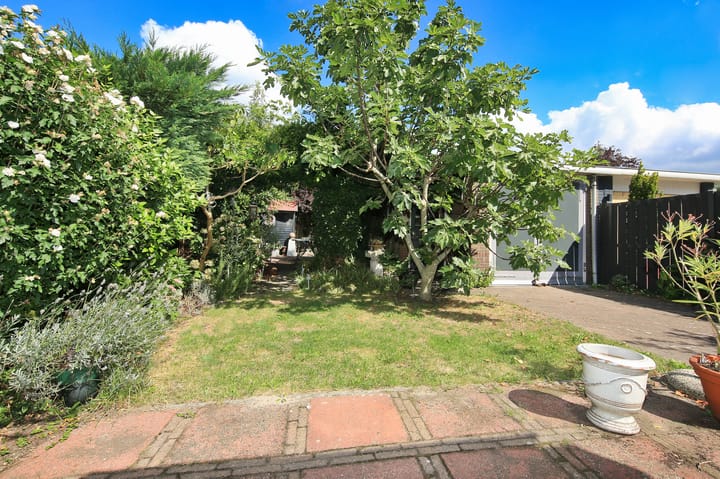 Foto 6 van Schipholweg 413