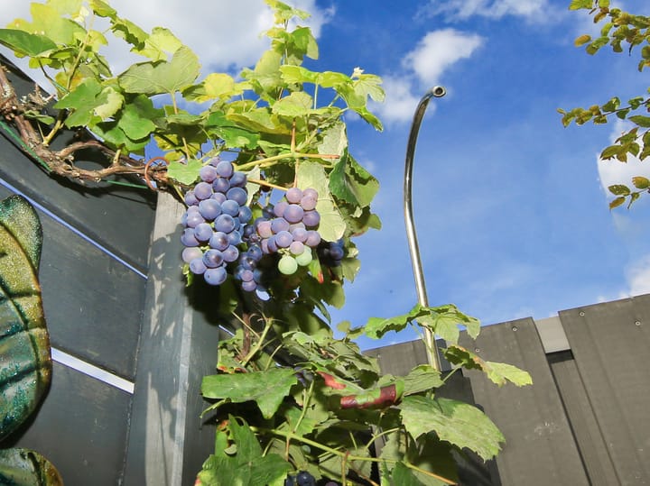 Photo 70 of Chr. Huygensstraat 25