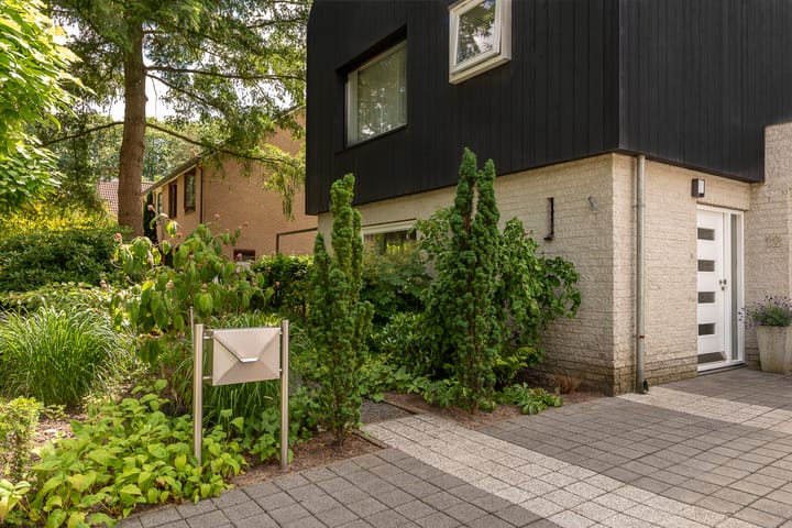 Foto 5 van de Ploeg 12