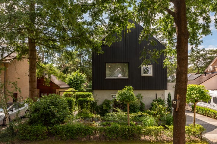 Foto 4 van de Ploeg 12