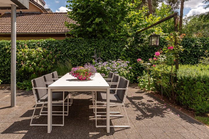 Foto 53 van de Ploeg 12