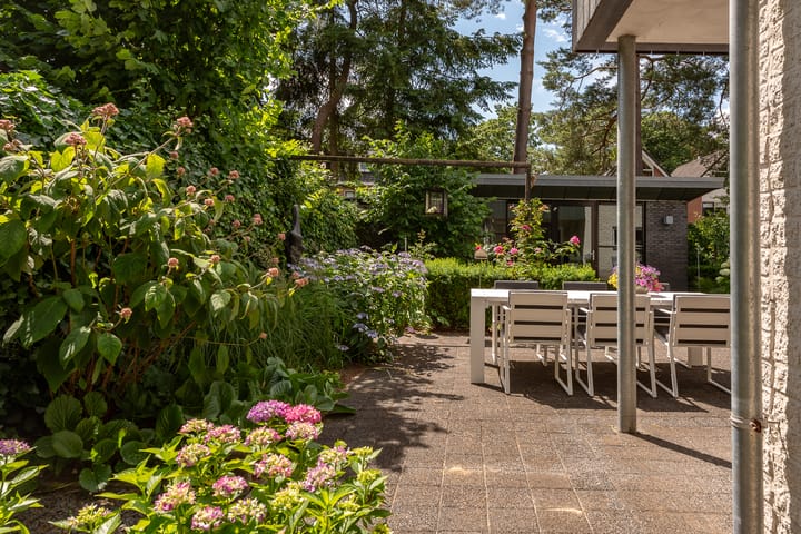 Foto 55 van de Ploeg 12