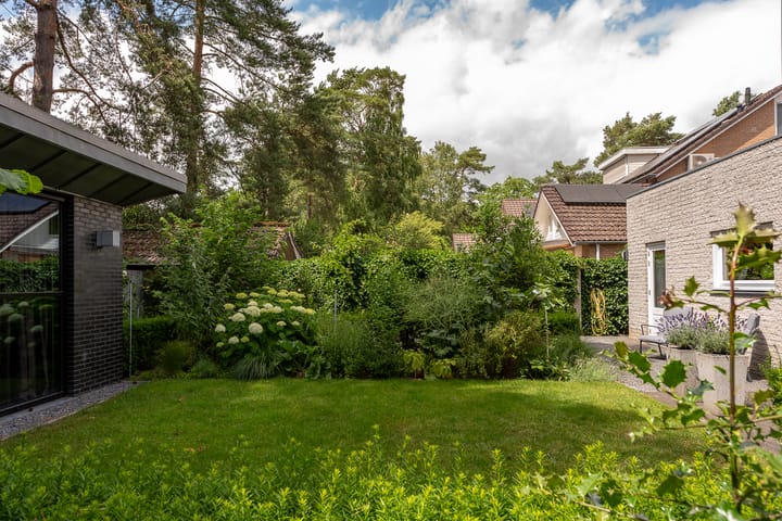 Foto 59 van de Ploeg 12