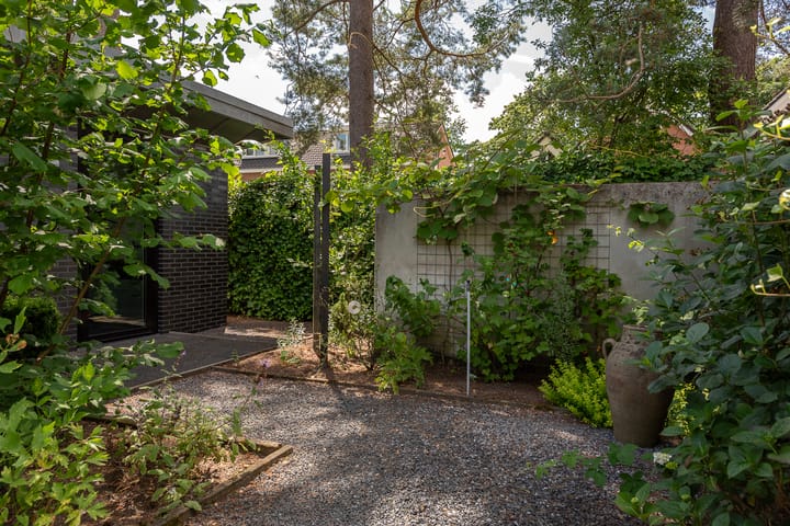 Foto 63 van de Ploeg 12