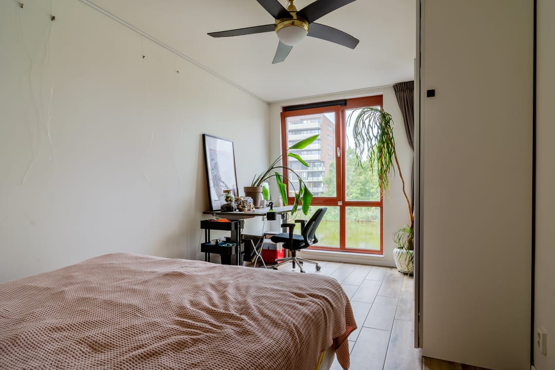 Foto 16 van Arènpalmstraat 34