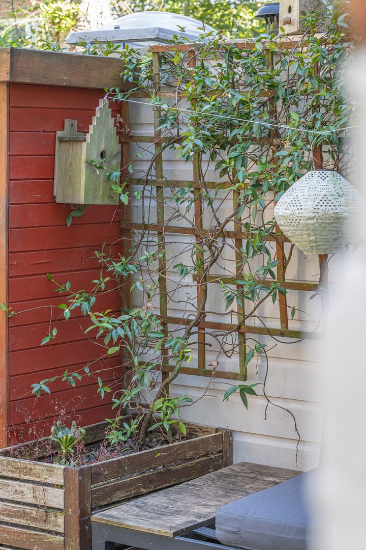 Foto 42 van Gashouderstraat 35