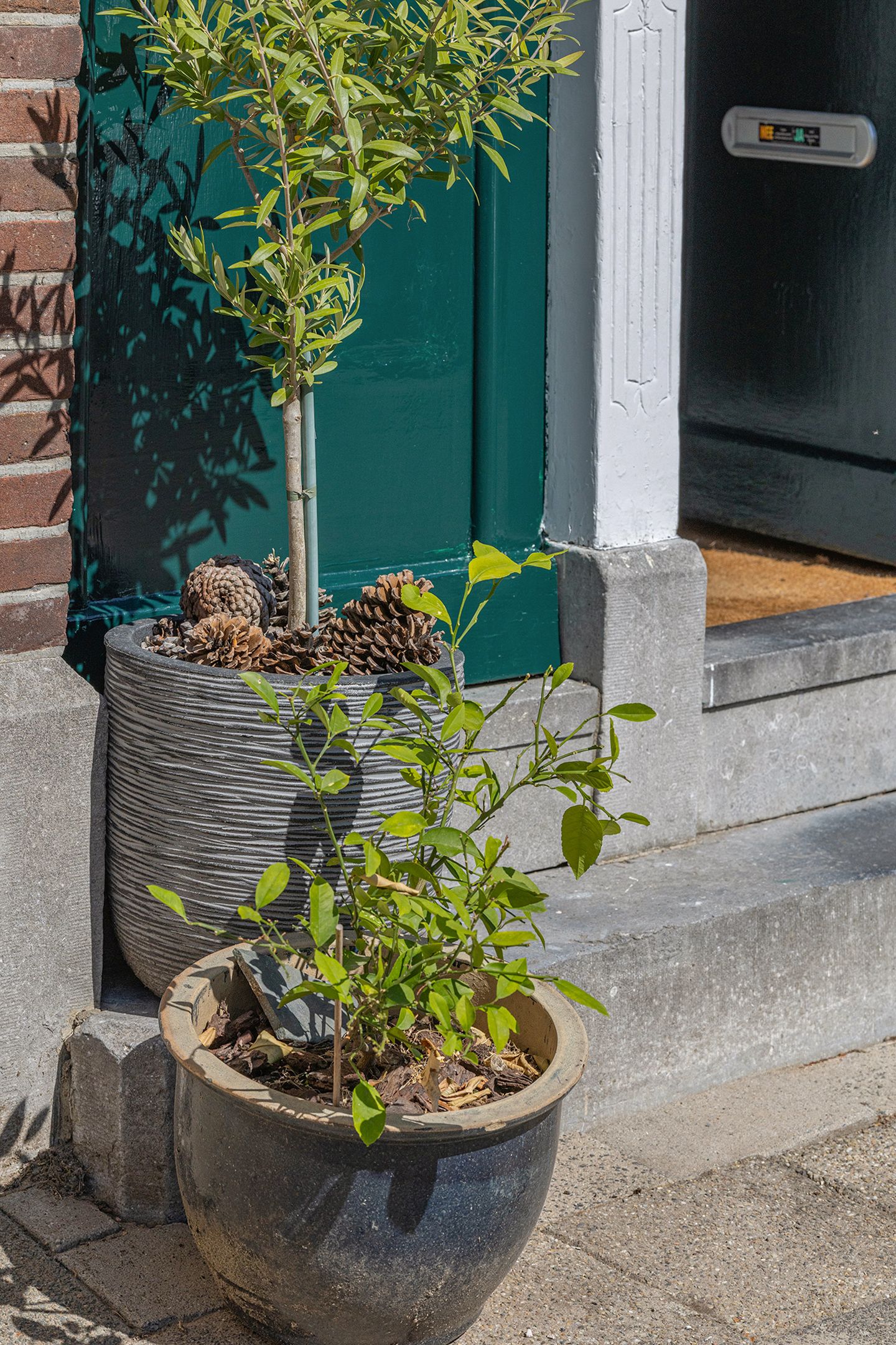 Foto 45 van Gashouderstraat 35