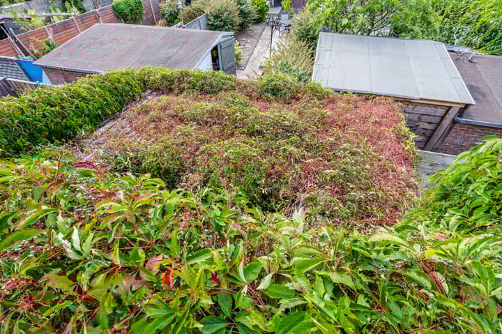 Foto 63 van Pioenroosstraat 65