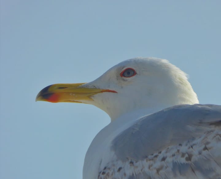 Photo 33 of Marinaweg 33