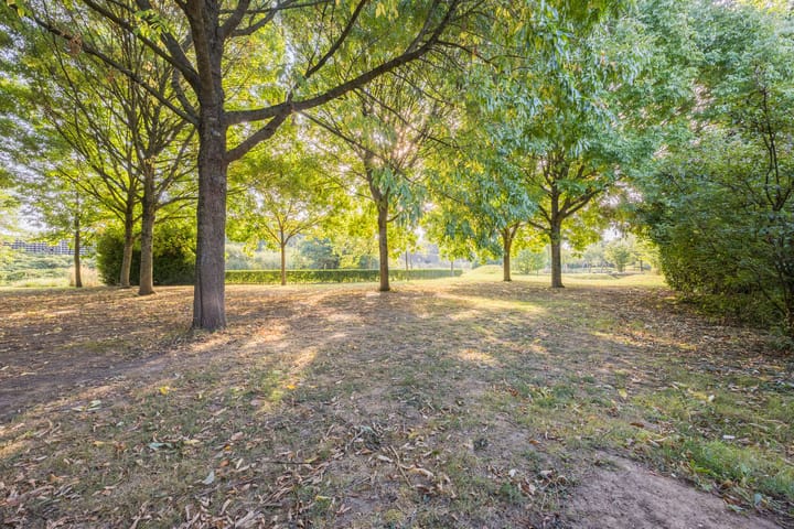 Foto 46 van Sering 52