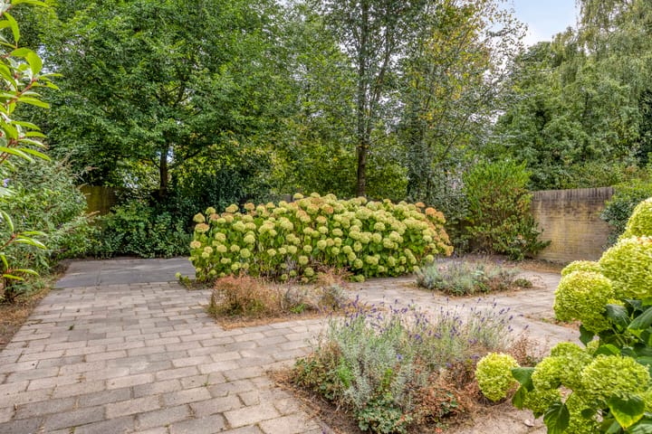 Foto 37 van Eimerick 11