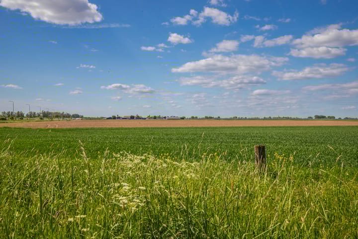 Foto 8 van Zwanenwaay 36