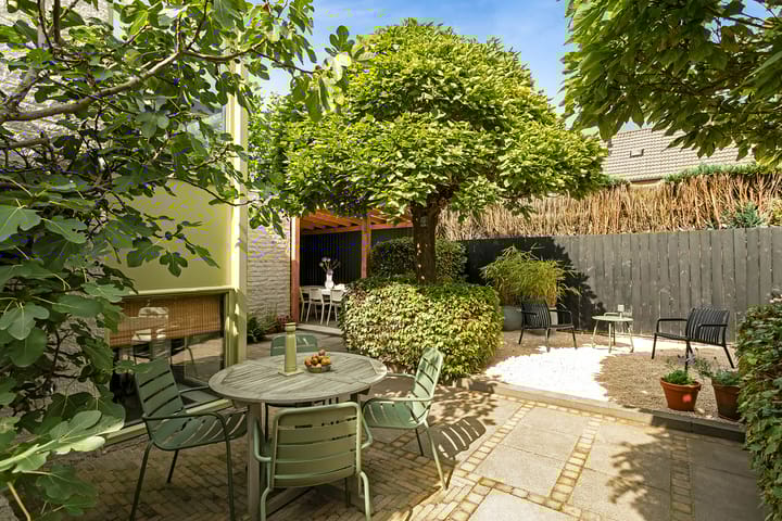 Photo 5 of Regenwulp 58