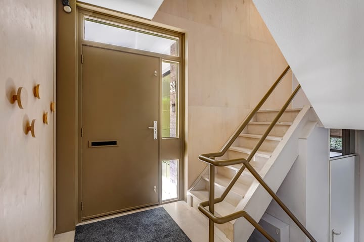 Photo 7 of Regenwulp 58