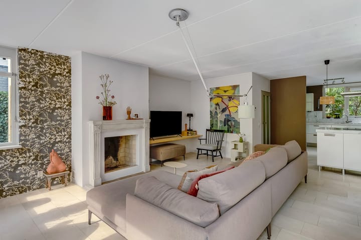 Photo 13 of Regenwulp 58