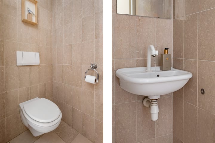 Photo 24 of Regenwulp 58