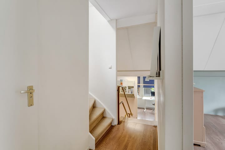 Photo 27 of Regenwulp 58