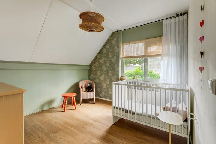 Photo 31 of Regenwulp 58