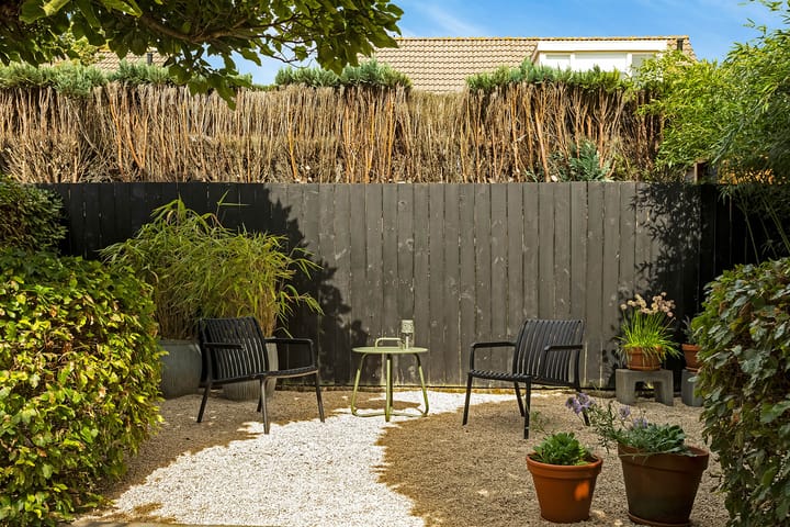 Photo 39 of Regenwulp 58