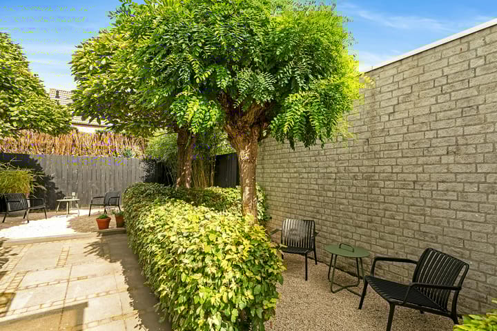 Photo 42 of Regenwulp 58