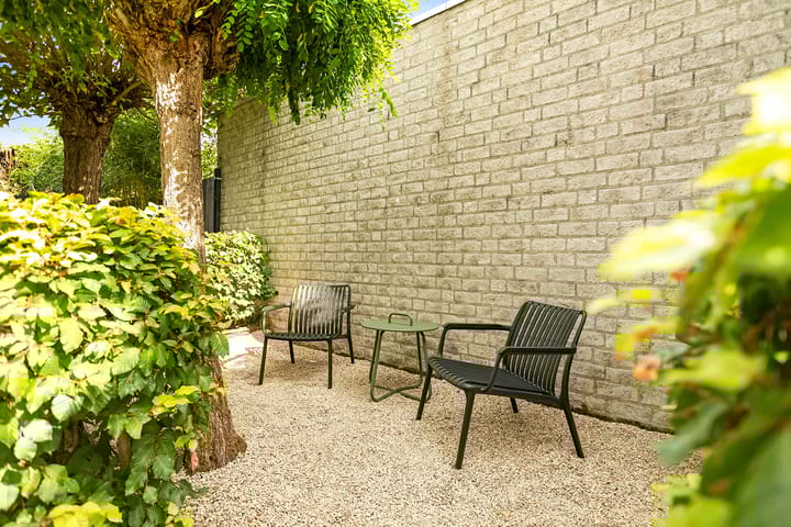 Photo 43 of Regenwulp 58