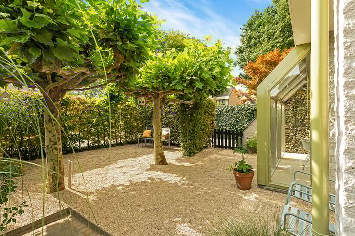 Photo 44 of Regenwulp 58