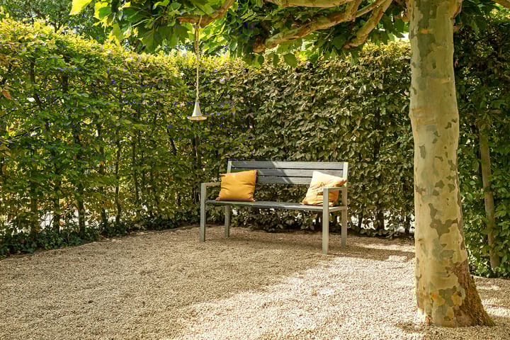 Photo 45 of Regenwulp 58