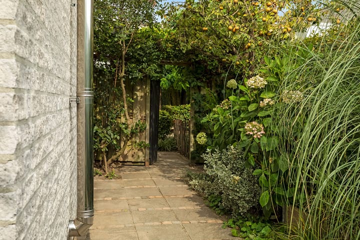 Photo 47 of Regenwulp 58