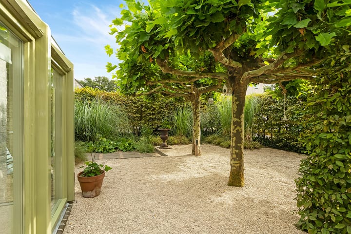 Photo 48 of Regenwulp 58