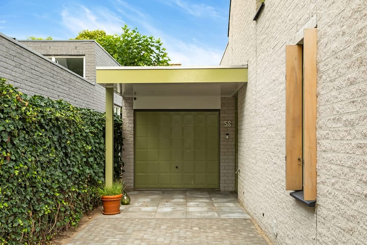 Photo 50 of Regenwulp 58