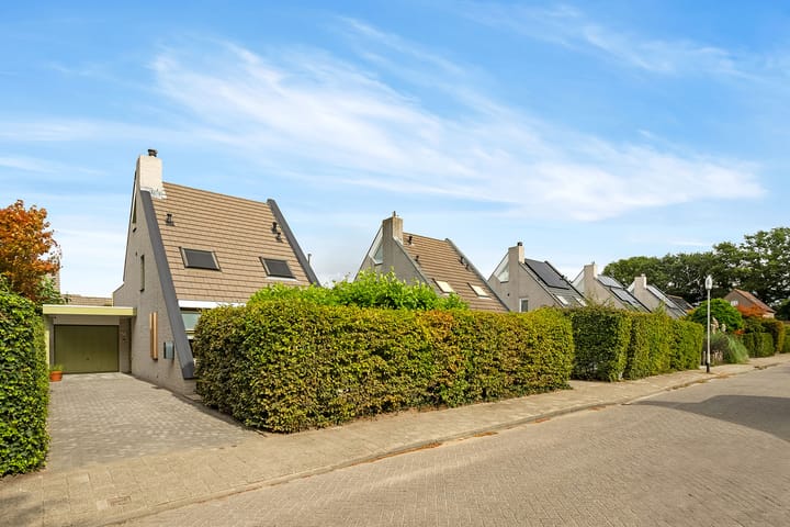 Photo 53 of Regenwulp 58