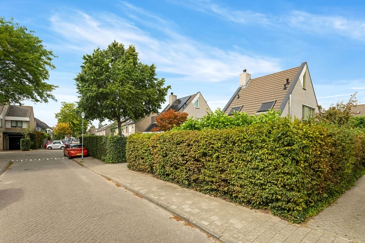 Photo 52 of Regenwulp 58