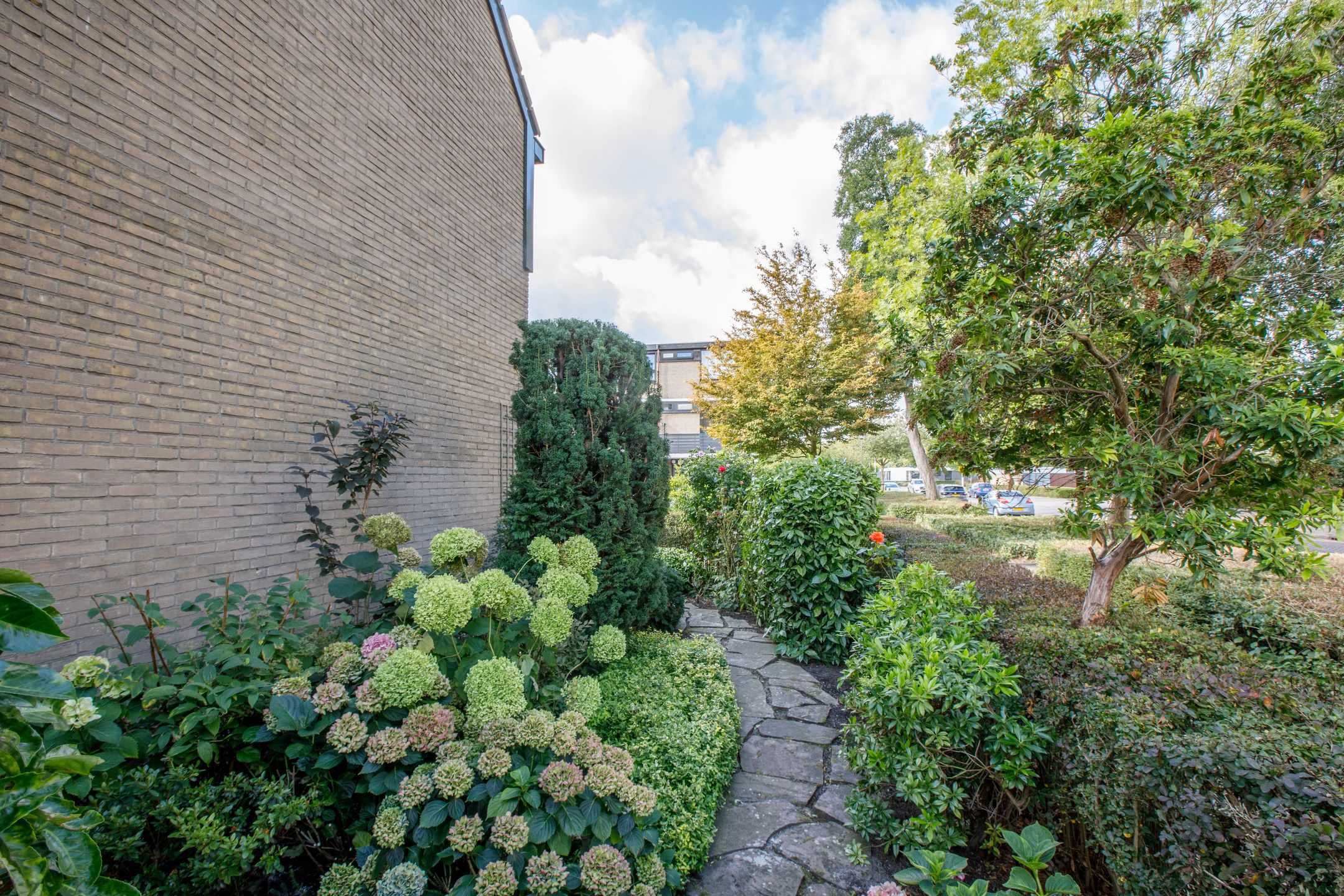 Foto 45 van Zeemanstraat 2