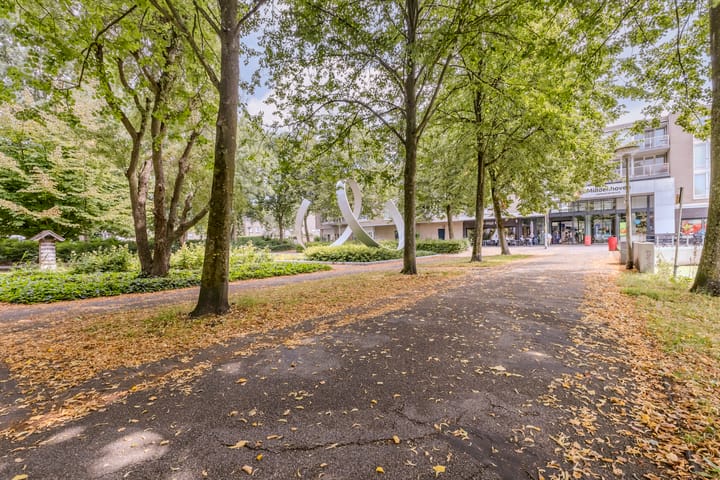 Foto 19 van Brink 86