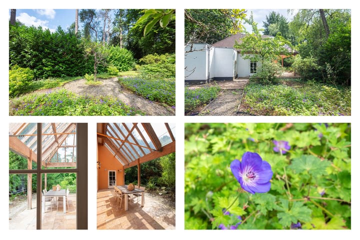 Photo 26 of Oranjelaan 1