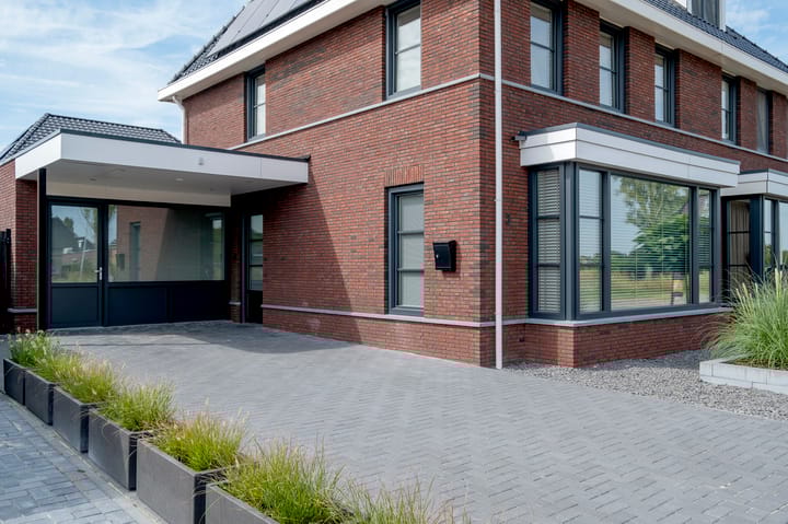 Photo 2 of Meerkoet 3