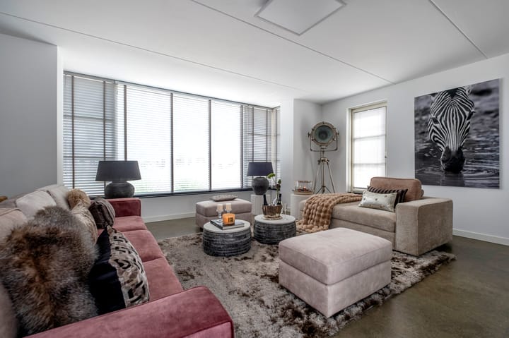 Photo 7 of Meerkoet 3