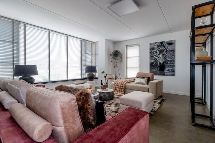 Photo 8 of Meerkoet 3