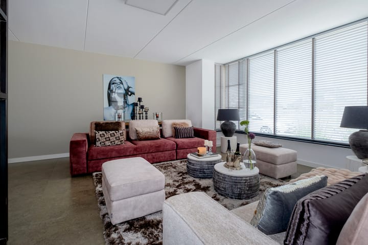 Photo 9 of Meerkoet 3